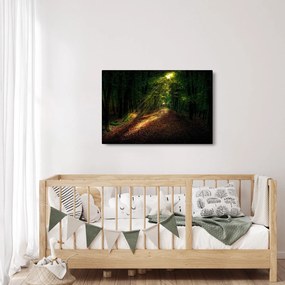 Tablou cu poteca prin pădure (90x60 cm)