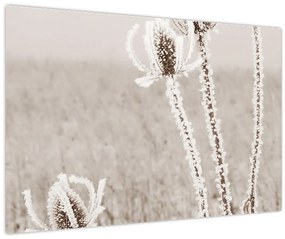 Tablou - Ciulinul în timpul iernii (90x60 cm)