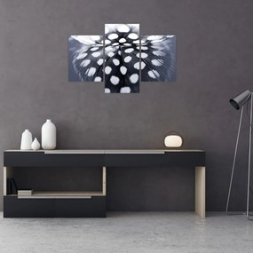 Tablou - Pană (90x60 cm)