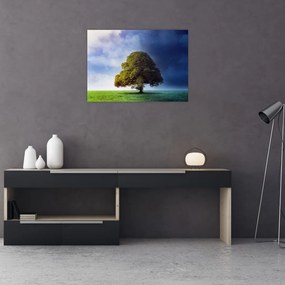 Tablou - Noapte și zi (70x50 cm)