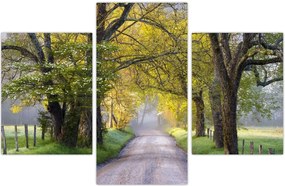 Tablou - Smoky Mountains, Gatlinburg, SUA (90x60 cm)