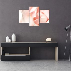 Tablou - Trandafiri (90x60 cm)