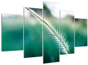 Tablou cu fir de iarbă (150x105 cm)