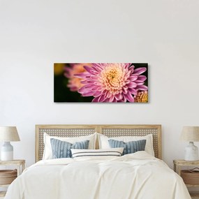 Tablou detailat cu flori (120x50 cm)
