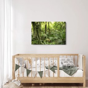 Tablou - Pădure tropicală (90x60 cm)