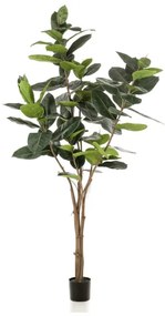Ficus artificial Elastica - 210 cm