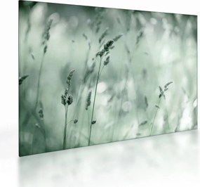 Tablou pe sticlă - Pajiște verde (70x50 cm)