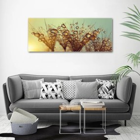 Tablou pe pânză canvas Semințe de papadie