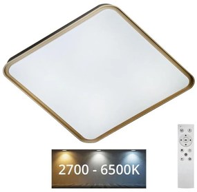 Plafonieră LED dimabilă UNA LED/60W/230V 2700-6500K + telecomandă