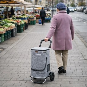 Geantă de cumpărături pe roți EASY, 50L, gri Monzana