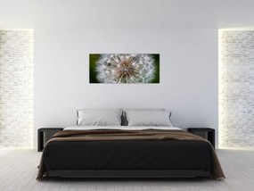 Tablou cu păpădie (120x50 cm)