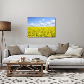 Tablou pe sticlă - Câmp galben (70x50 cm)