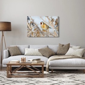 Tablou - Ciredeaua (90x60 cm)