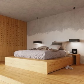 Plafonieră HORUS 35 2xE27/60W/230V negru