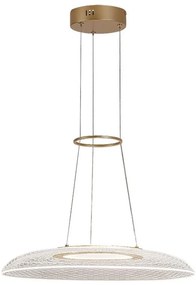 Rabalux 72411 - Lustră suspendată pe cablu ZOFRAEL LED/24W/230V 3000K