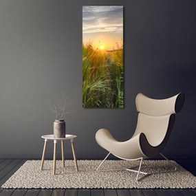 Imprimare tablou canvas Câmp de grâu