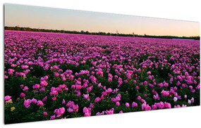 Tablou - Pajiștea cu lalele violet (120x50 cm)