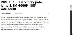 Stalp LED iluminat exterior simetric 180º IP65 RUSH 310cm 4000K CASAMBI