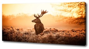 Print pe canvas Sunrise deer