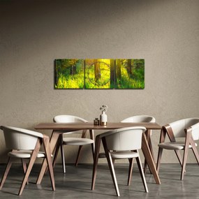 Tablou - Trezirea de primăvară a pădurii (cu ceas) (90x30 cm)