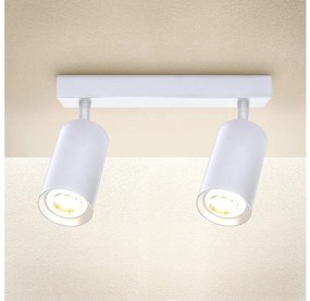 Spot Brilagi SELE 2xGU10/30W/230V alb