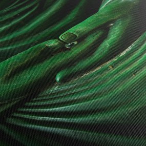 Tablou - Mâna lui Buddha (90x60 cm)