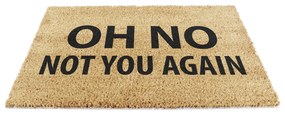 Covoraș de intrare din fibre de nucă de cocos 40x60 cm Not You Again – Artsy Doormats