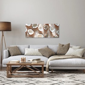 Tablou - Nuci de cocos (120x50 cm)