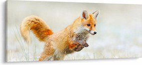 Tablou - Vulpe care sare (120x50 cm)