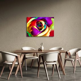 Tablou - Trandafir colorat (70x50 cm)