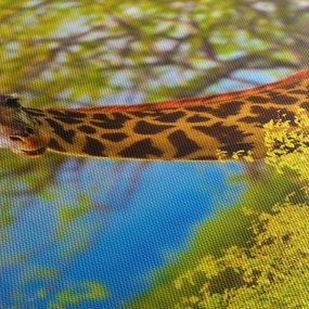 Tablou - Girafa în Africa (120x50 cm)