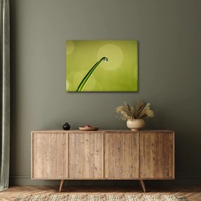 Tablou cu picătură de apă pe iarbă (70x50 cm)