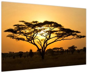 Tablou - Savana africană (90x60 cm)