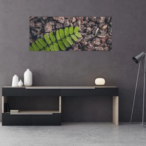 Tablou  cu planta verde (120x50 cm), în 40 de alte dimensiuni noi