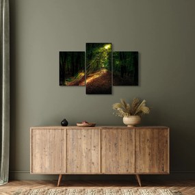 Tablou cu poteca prin pădure (90x60 cm)