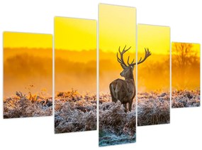 Tablou - Cerb la răsăritul soarelui (150x105 cm)