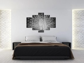 Tablou - Păun alb (150x105 cm)