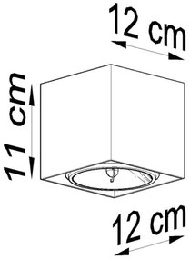 Lampă spot BLAKE 1xGU10/40W/230V