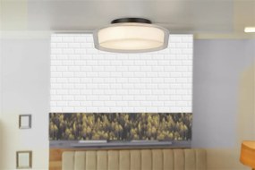 Plafoniera LED baie cu protectie IP44 Puck 30cm