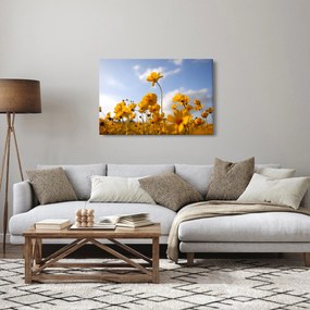 Tablou - Câmp cu flori galben deschis (90x60 cm)