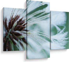 Tablou - Detaliu floare (90x60 cm)