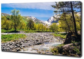 Tablouri tipărite pe pânză River în munți