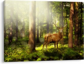 Tablou cu cerbul în pădure (70x50 cm)