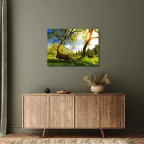 Tablou lunca ne primăvară (70x50 cm)