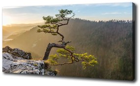 Tablou pe pânză Pieniny sokolica