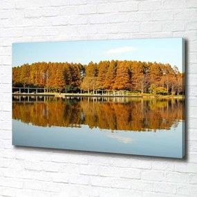 Pictură pe pânză Lake forest