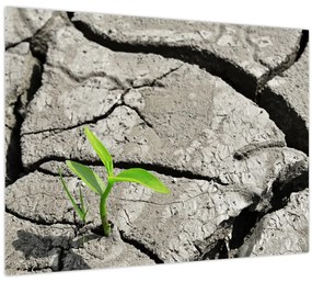 Tablou - Fisuri (70x50 cm)