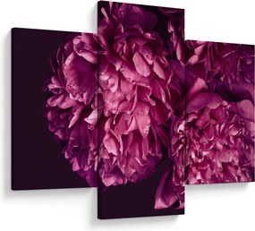 Tablou - Floarea bujorului (90x60 cm)