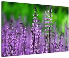Tablou cu flori de luncă violete (90x60 cm)