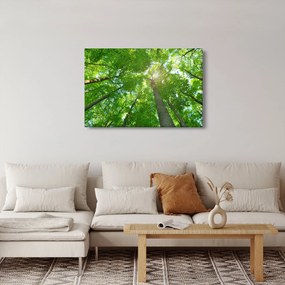 Tablou - Lunca (90x60 cm)